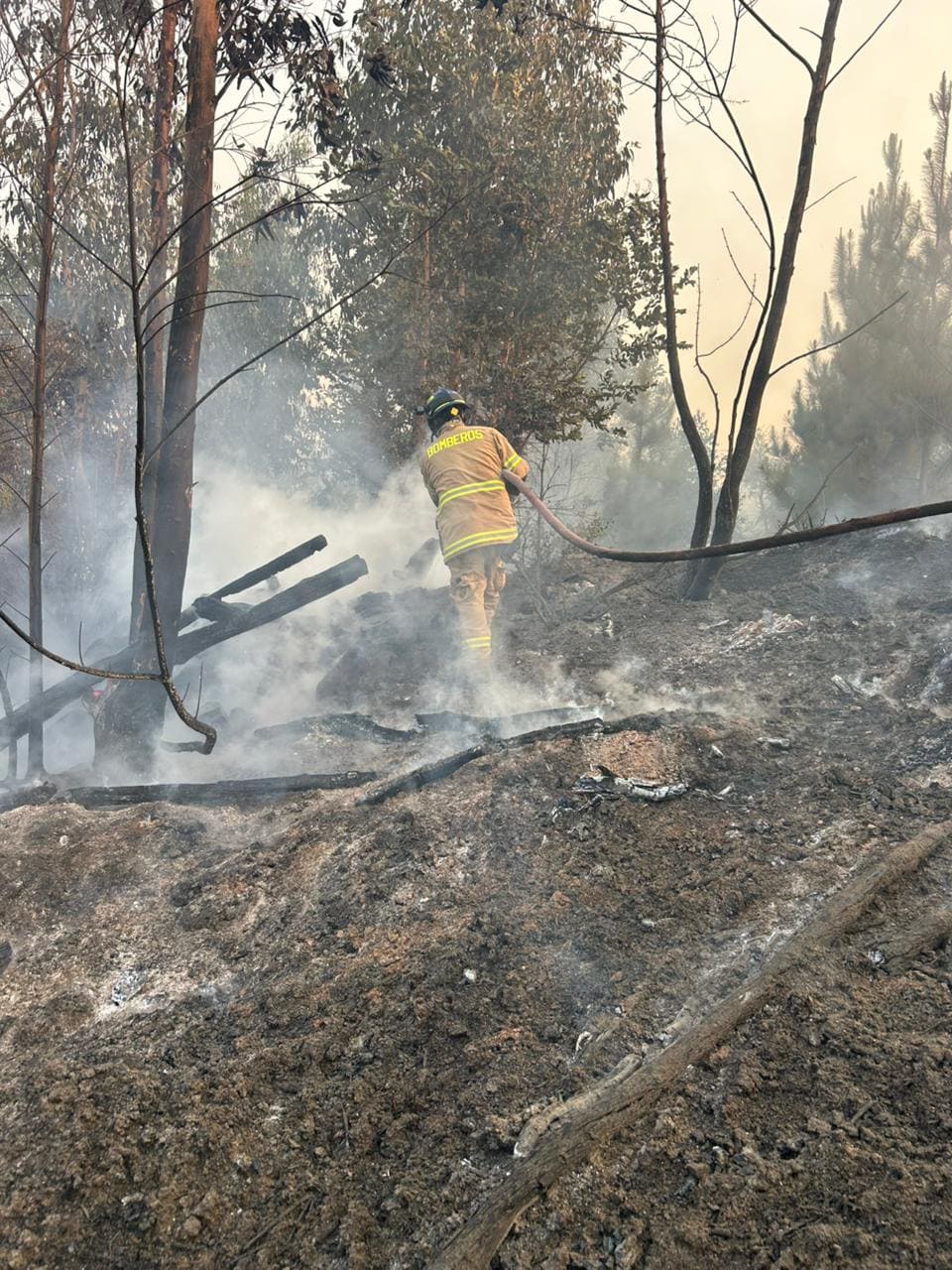 161a23a1-50ee-4b24-9209-1cc6965f1f49